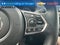 2019 Acura RDX Platinum Elite