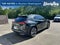 2023 Lexus UX 250h Premium